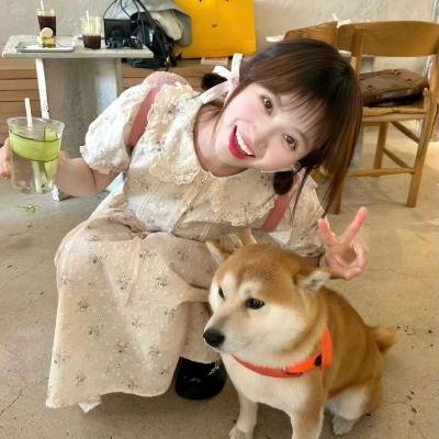 小小恶信件